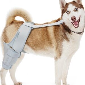 MerryMilo Dog Knee Brace Torn ACL – Rear Leg Support Medium Injuries Joint Pain